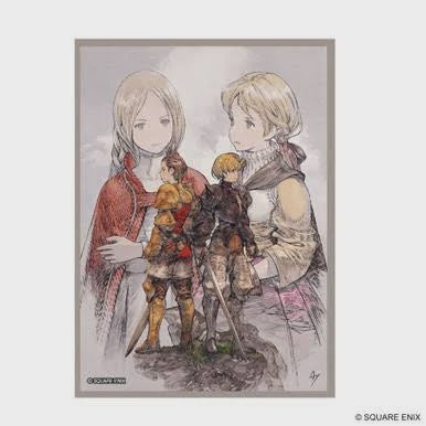 FFT Sleeves